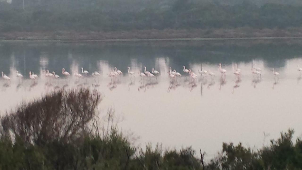 טורה דיי קורסרי Mare Dune Laghetto מראה חיצוני תמונה